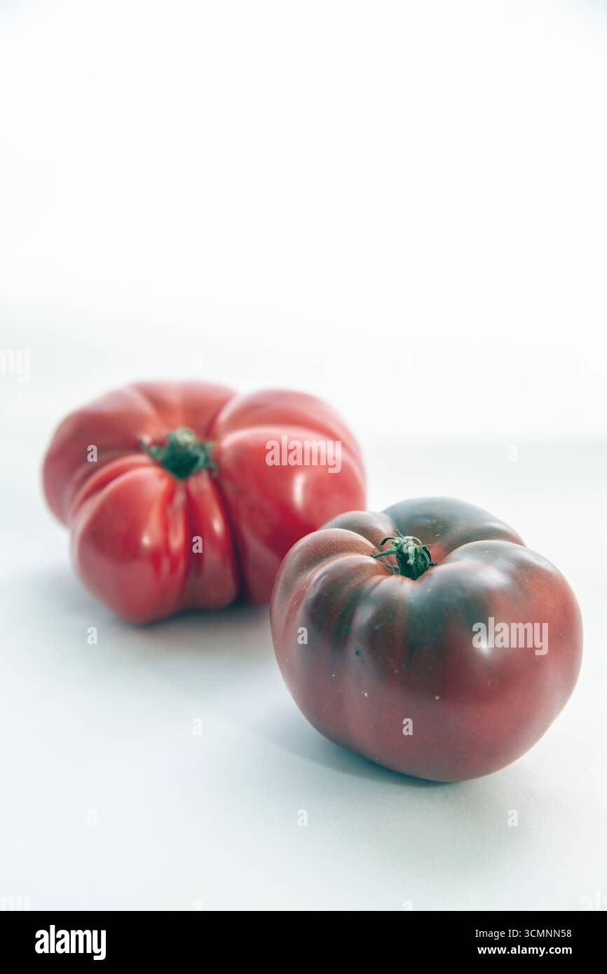 tomate de boeuf rouge photographiée en studio. Fond blanc. Banque D'Images