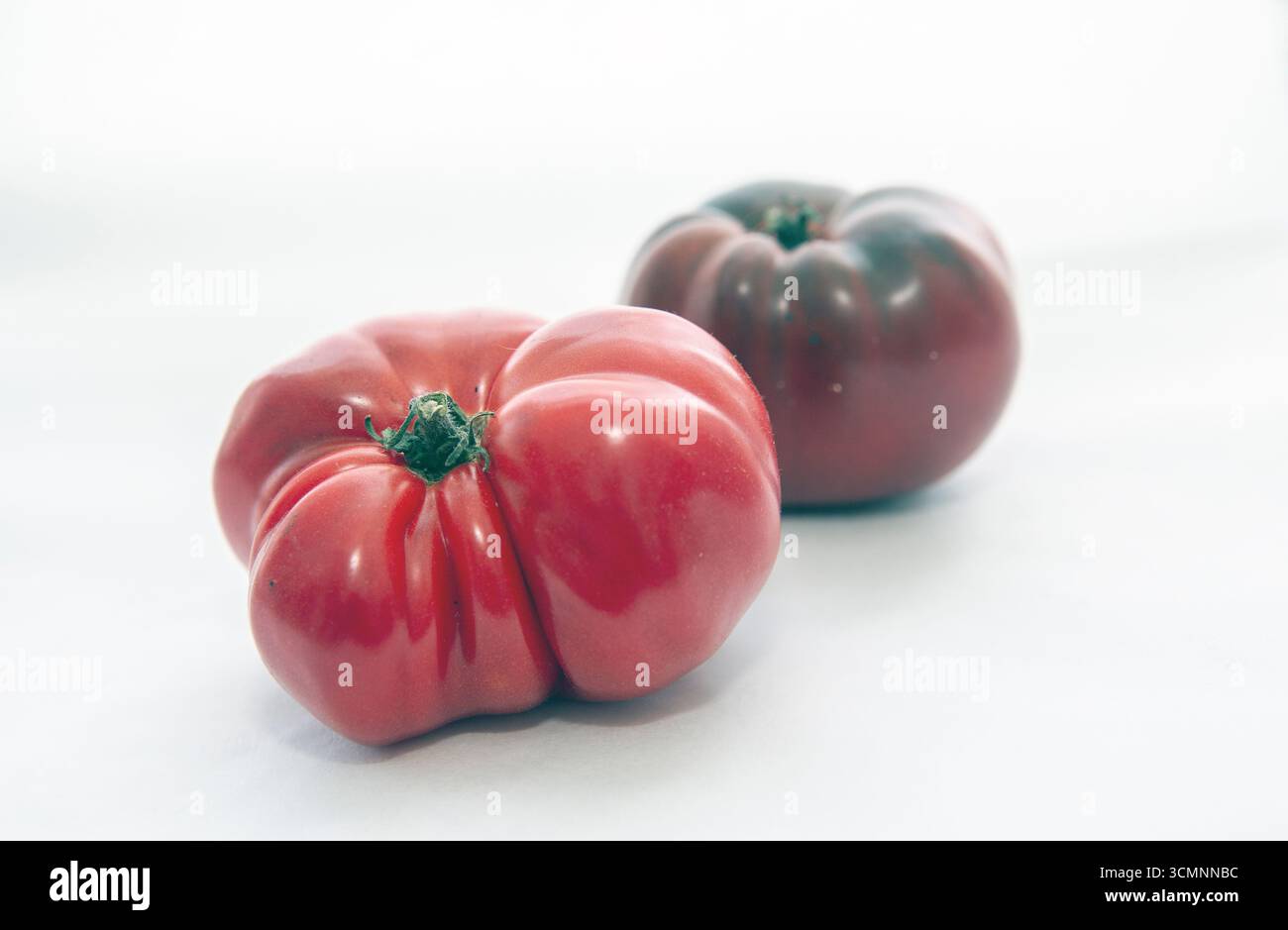 tomate de boeuf rouge photographiée en studio. Fond blanc. Banque D'Images