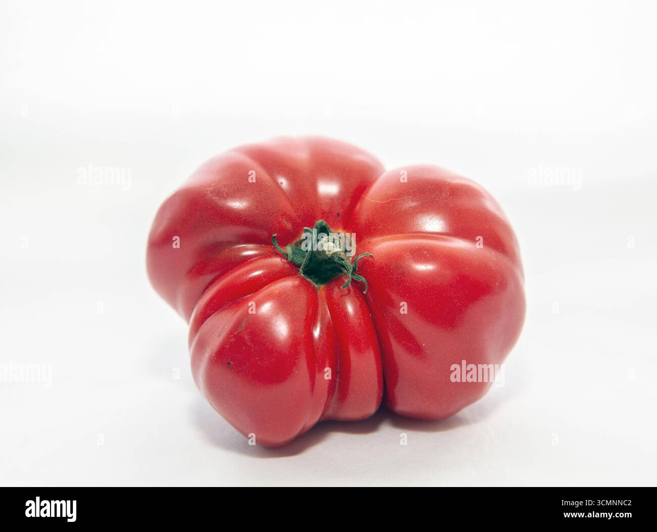 tomate de boeuf rouge photographiée en studio. Fond blanc. Banque D'Images