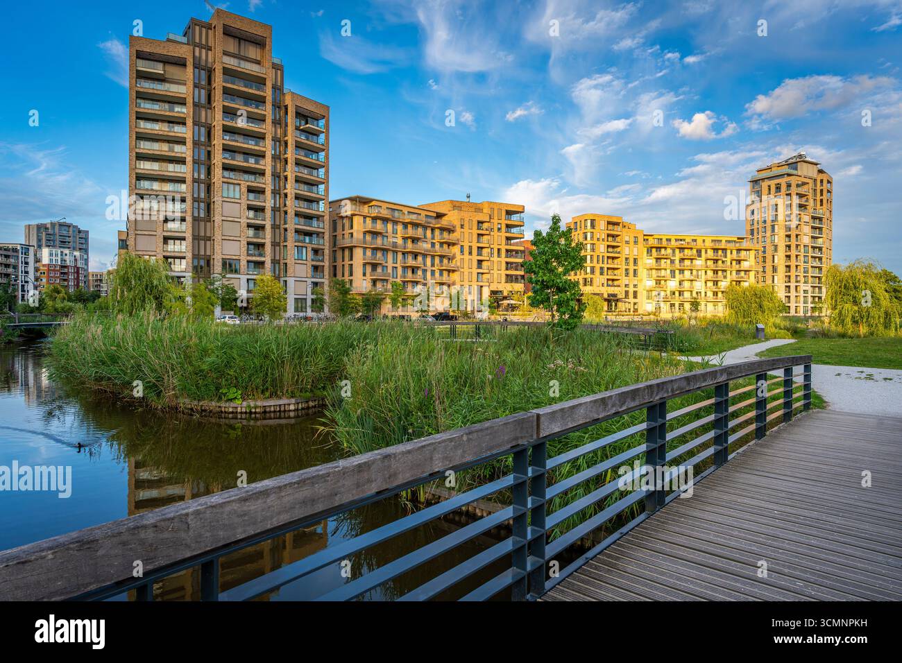 Vue estivale sur Holland Park à Diemen Zuid, nouveau quartier émergent à la périphérie d'Amsterdam, aux pays-Bas Banque D'Images