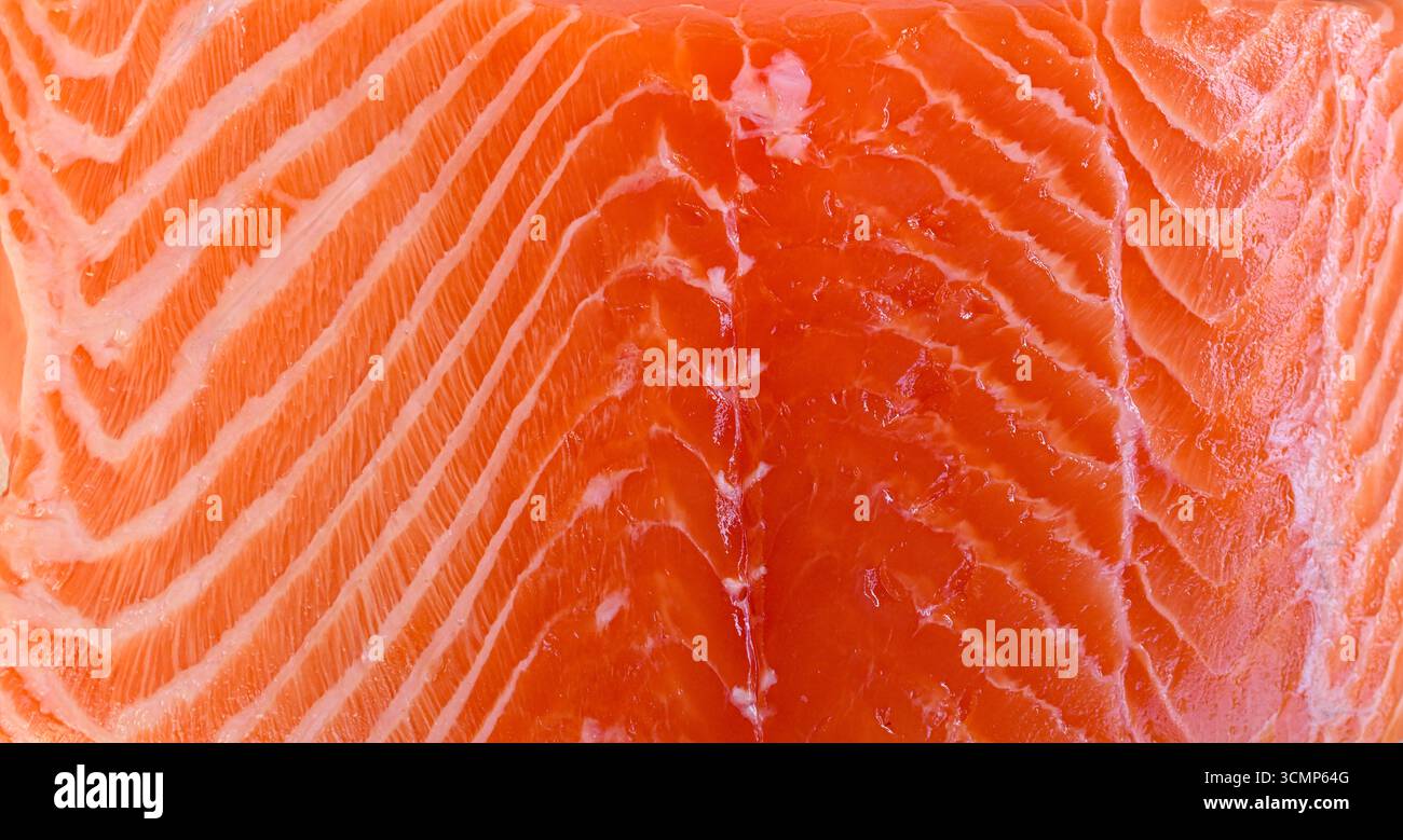 Voici un gros plan détaillé d'un succulent morceau de saumon, montrant clairement la texture unique et complexe de la viande qu'il contient Banque D'Images