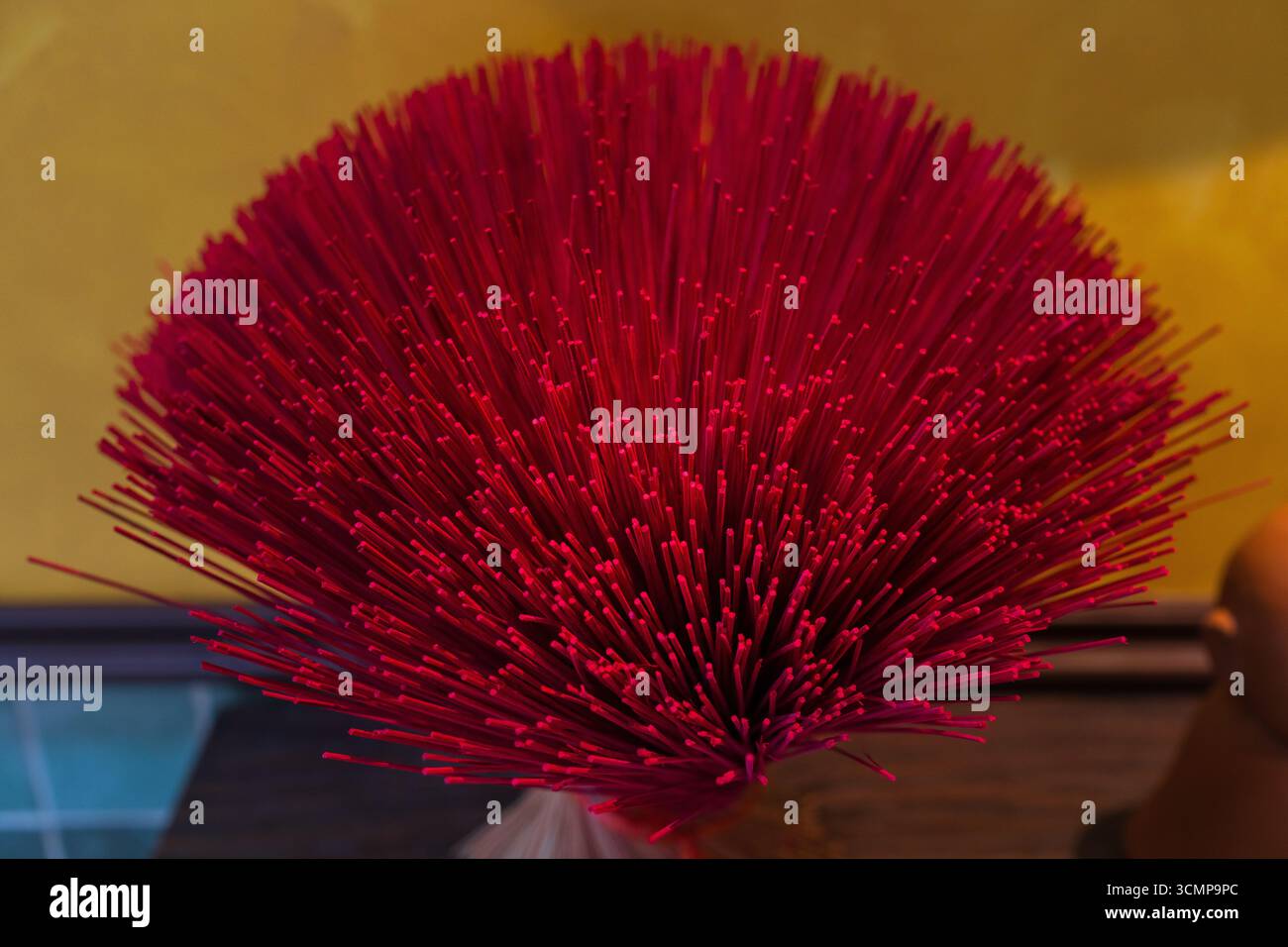 Gros plan de bâtons d'encens rouges traditionnels disposés en éventail, symbolisant l'artisanat vietnamien, la spiritualité et le patrimoine culturel. Banque D'Images