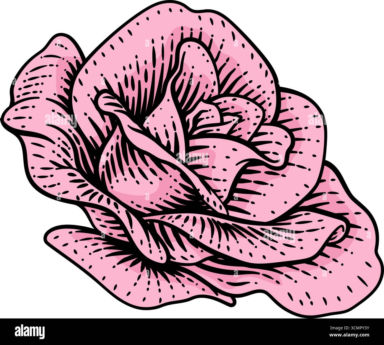 Rose Flower gravure gravée gravure illustration Illustration de Vecteur