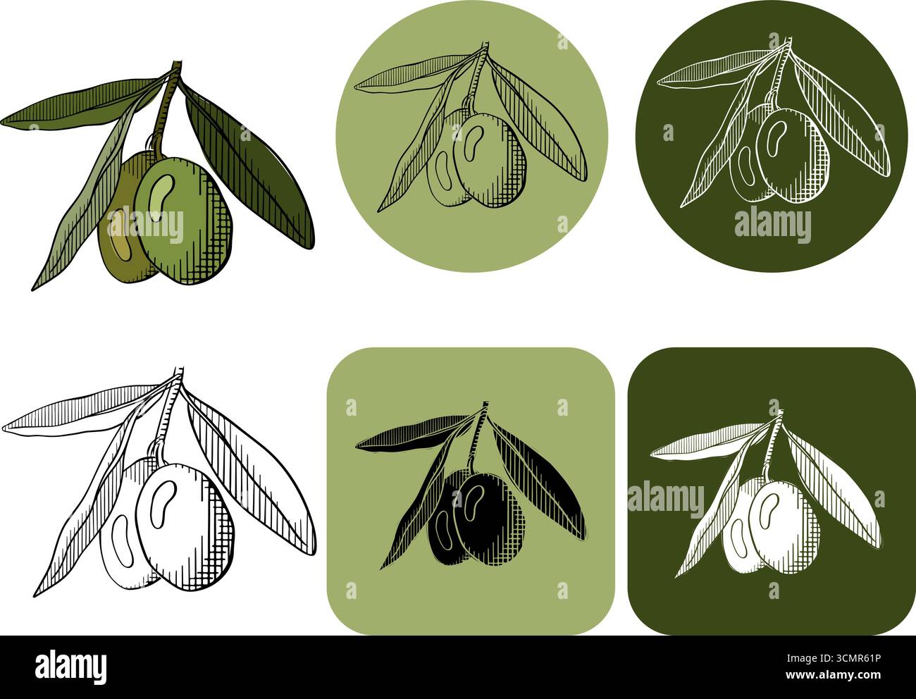 logo vert de branche d'olivier vecteur. illustration graphique couleur à l'encre. Icône mythologique. Étiquette des produits sains. Cosmétiques biologiques. ECO Food naturel Illustration de Vecteur