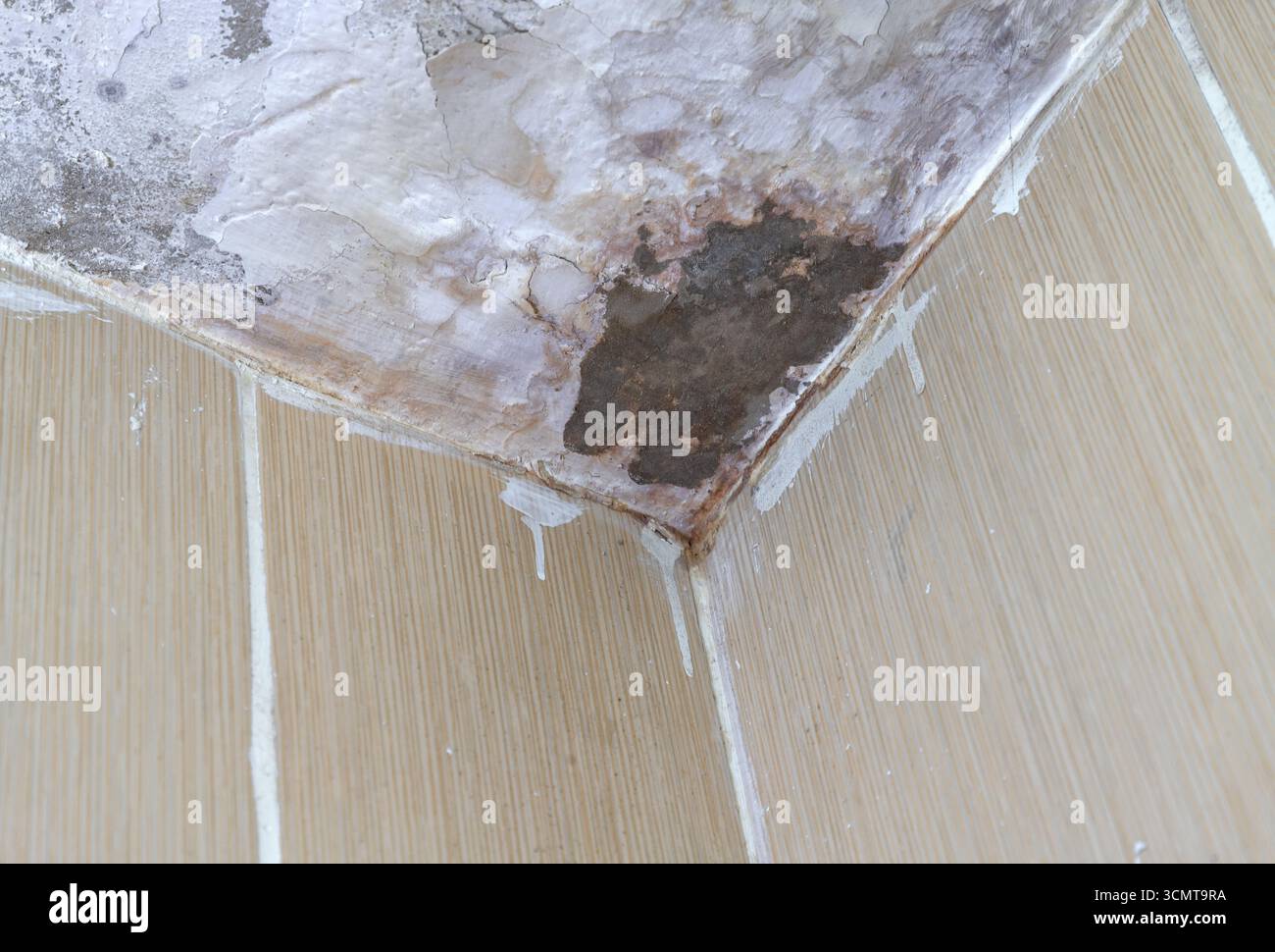 Mouiller le coin du plafond avec des taches d'eau, de la moisissure et des dommages au plâtre. Banque D'Images