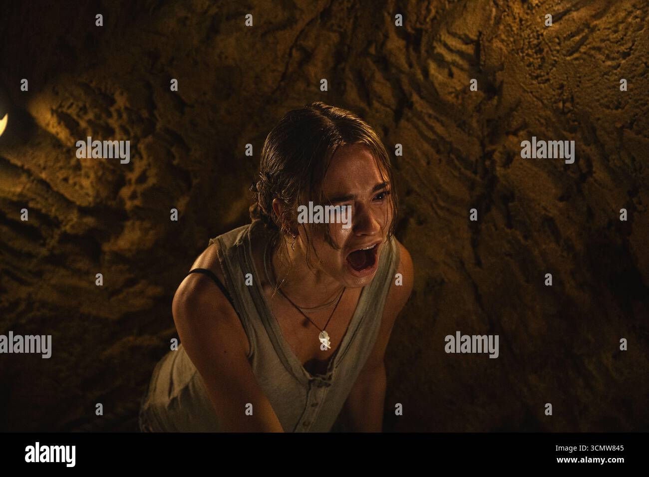 DATE DE SORTIE : 9 janvier 2025 TITRE : Primate STUDIO : Paramount Pictures RÉALISATEUR : Johannes Roberts INTRIGUE : maison de l'université, Lucy retrouve sa famille, y compris le chimpanzé Ben. Ben contracte la rage lors d'une fête à la piscine et devient agressif. Lucy et ses amis barricadent dans la piscine, concevant des moyens de survivre au chimpanzé vicieux. EN VEDETTE : Johnny Sequoyah dans le rôle de « Lucy » (crédit image : © Paramount Pictures/Entertainment Pictures/ZUMAPRESS.com) USAGE ÉDITORIAL SEULEMENT ! Non destiné à UN USAGE commercial ! Banque D'Images