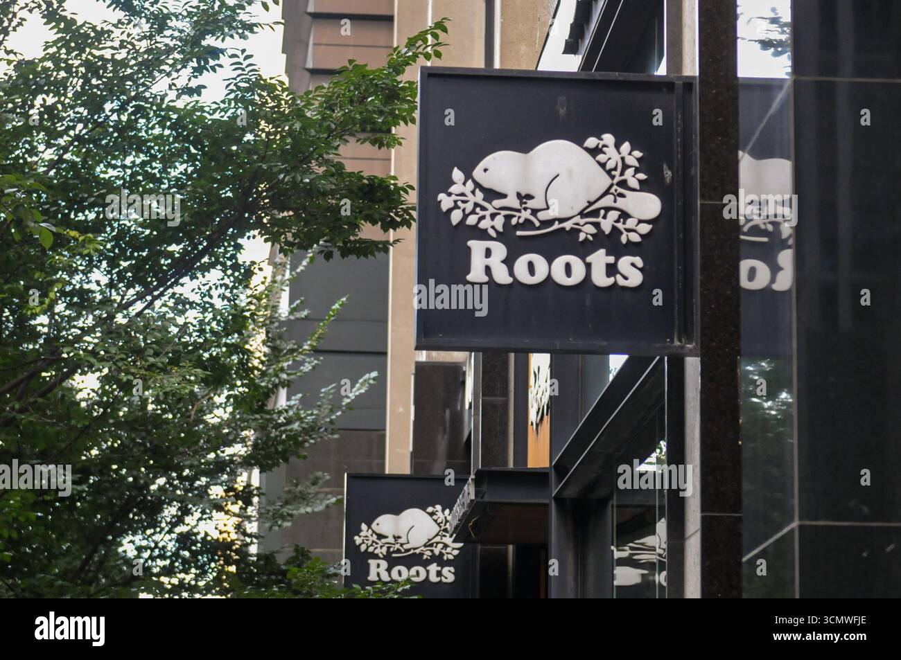 Toronto, ON, Canada – 20 août 2025 : Voir à l’enseigne de la société Root au Canada Banque D'Images