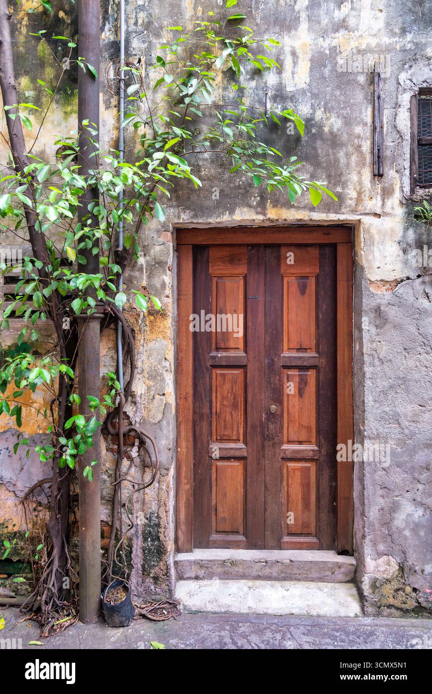 Porte en bois rustique dans un mur altéré et fissuré avec feuillage vert et racines exposées. Un tuyau rouillé court verticalement. Texture de pourriture urbaine Banque D'Images