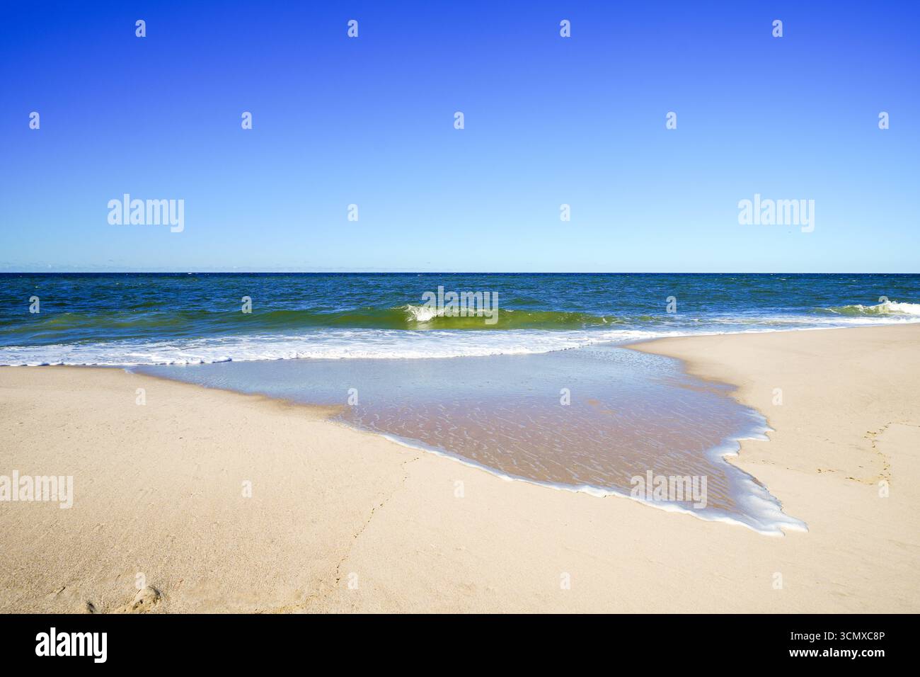 Paysage sur la plage entre Wenningstedt et Kampen sur l'île frisonne de Sylt. Vue sur la mer du Nord et la nature environnante. Banque D'Images