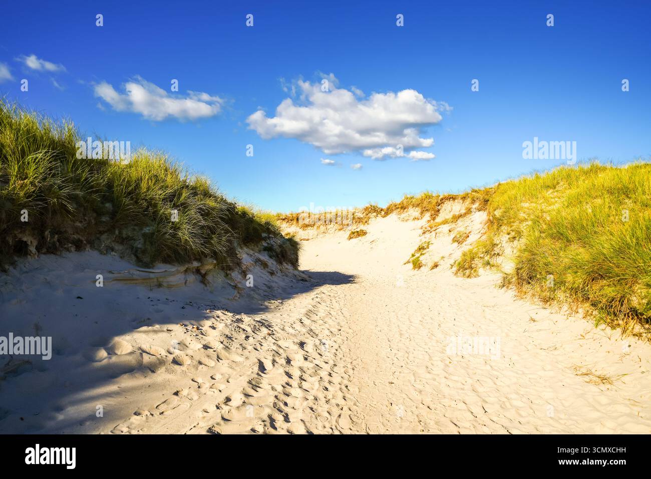 Vue sur la plage ouest sur l'île frisonne nord de Sylt. Paysage sur la côte de la mer du Nord. Banque D'Images