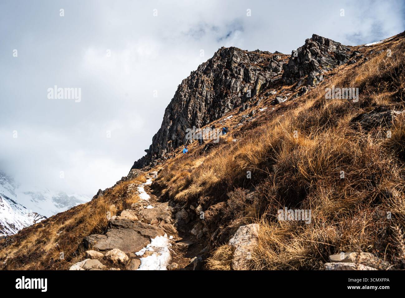 Sentier alpin étroit serpentant le long d'une colline escarpée au-dessus de Langtang Valley, Népal Banque D'Images
