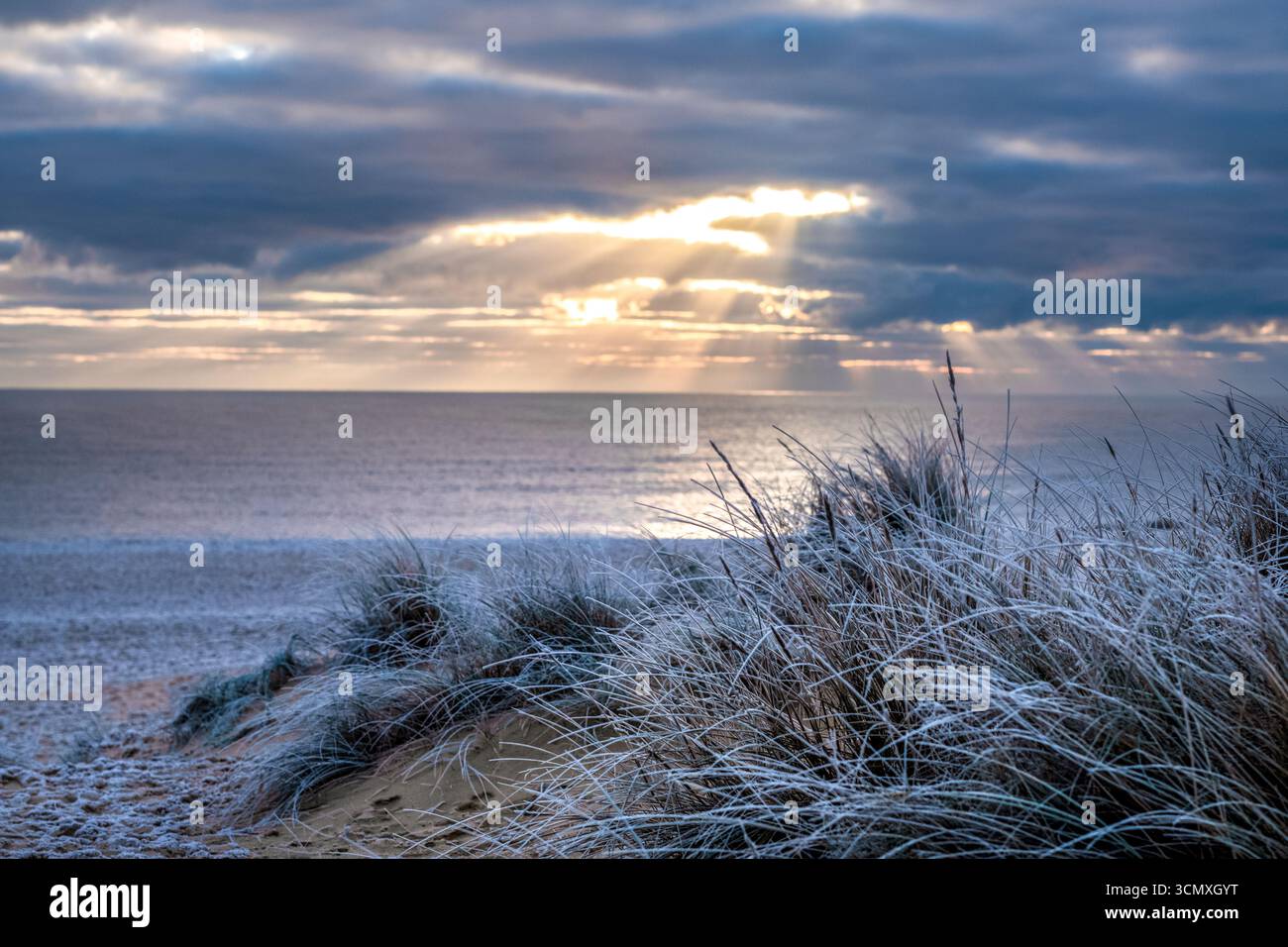 Lumière hivernale tôt le matin sur les dunes de sable givrées à Southwold dans le comté de Suffolk, Royaume-Uni Banque D'Images