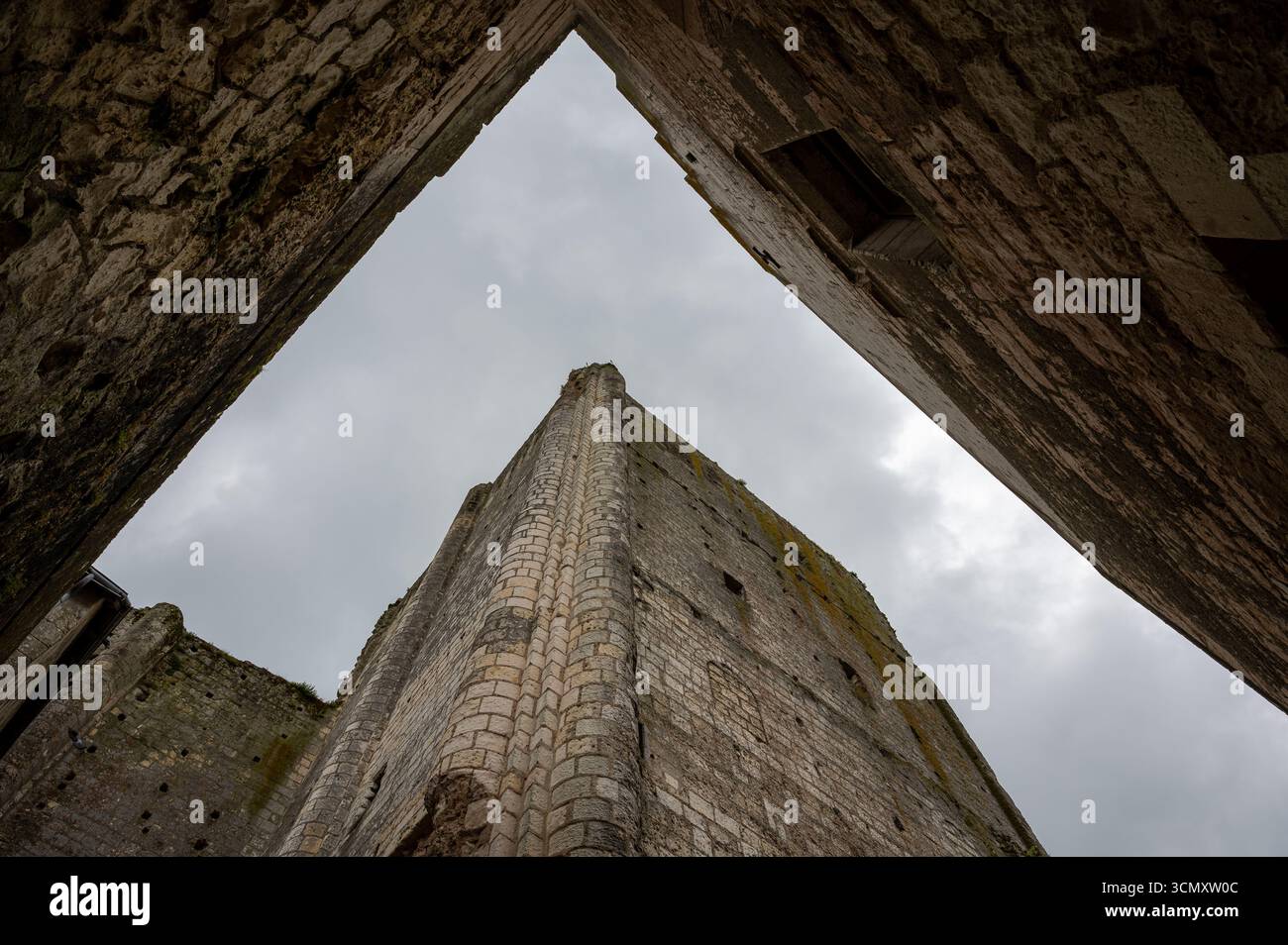 Vue en angle bas sur le donjon du château de Loches, encadré entre ses murs environnants, soulignant son architecture médiévale et sa hauteur. Banque D'Images