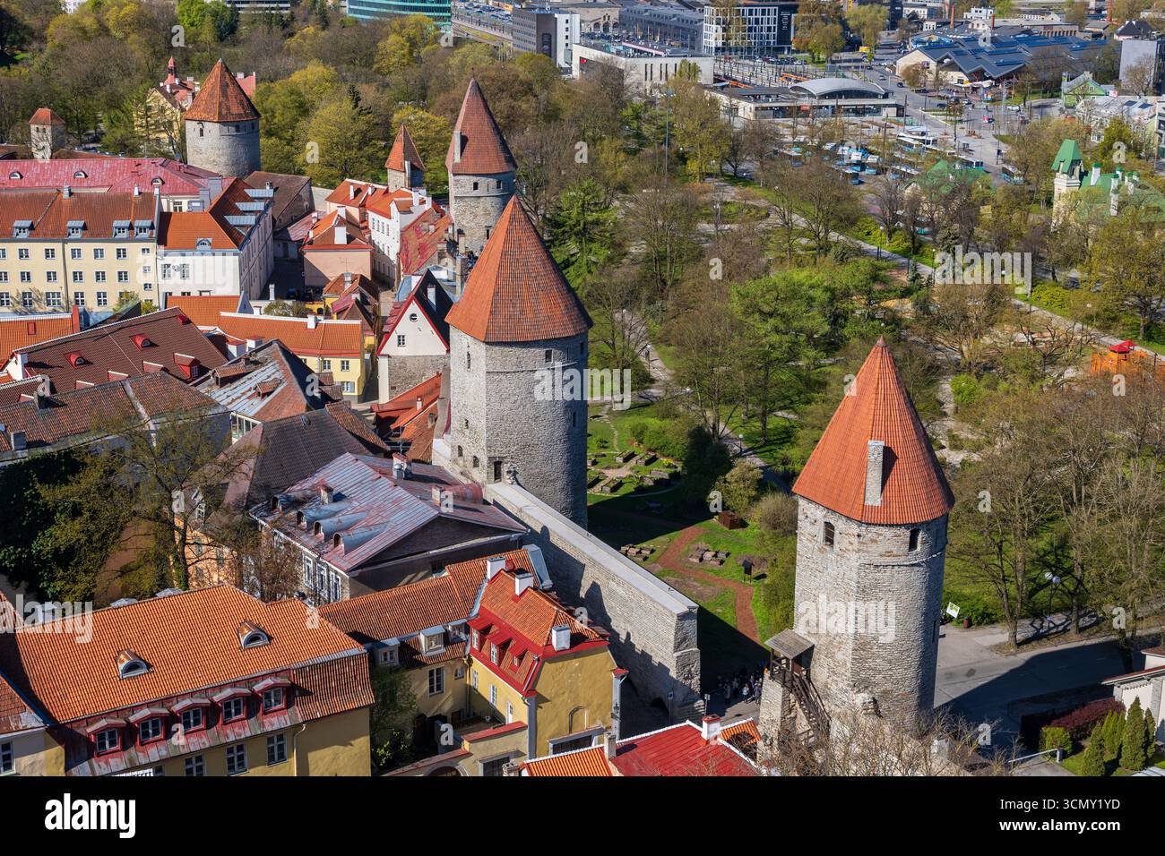 Ville de Tallinn en Estonie. Vue au-dessus des maisons, mur défensif avec des tours et le Hildegarden - Old Town Community Garden. Banque D'Images