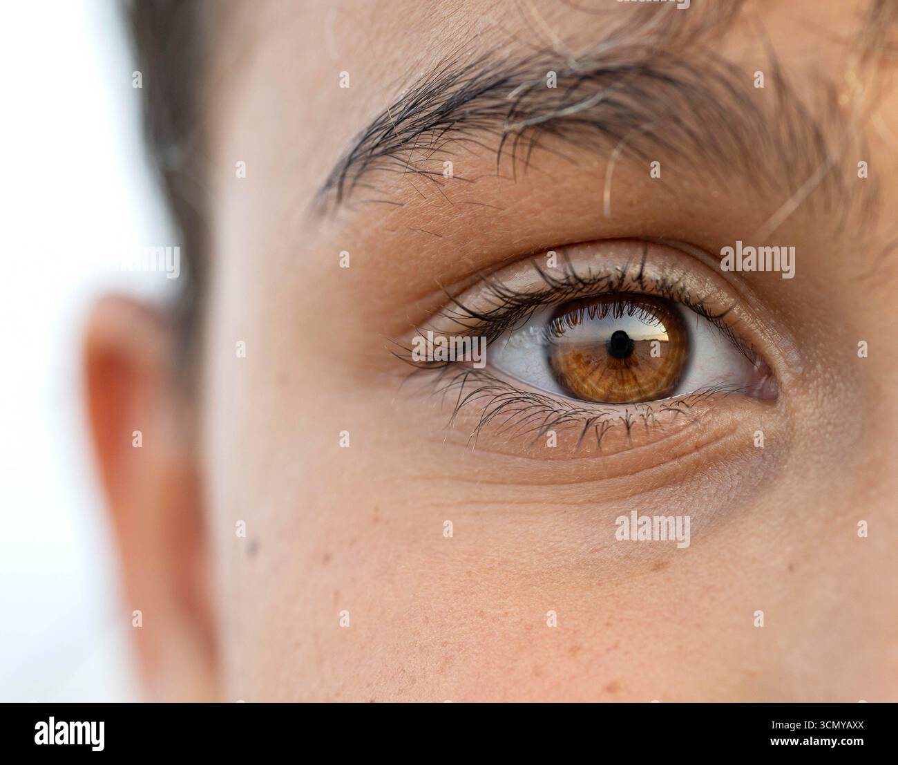 photographie macro de l'oeil d'une fille, oeil brun Banque D'Images