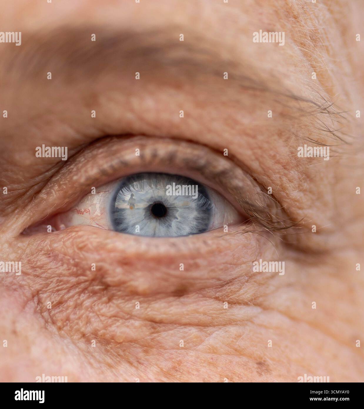macro photographie de l'oeil d'une femme âgée ; l'oeil est bleu et le paysage est visible dans le reflet Banque D'Images
