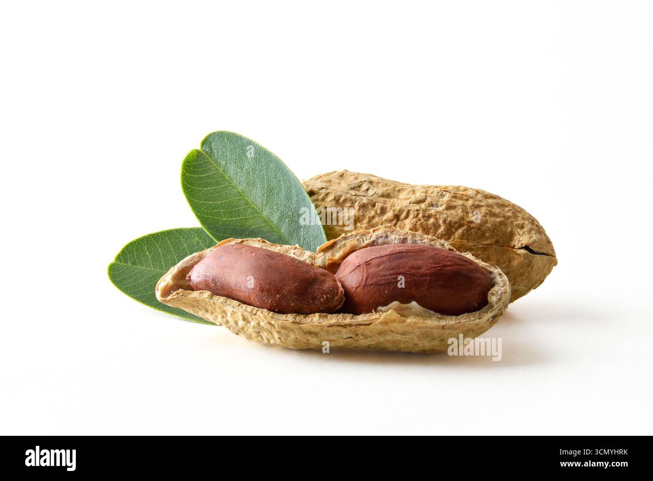 Macro détail des arachides avec arachide ouverte montrant les grains isolés sur fond blanc. Vue de face. Banque D'Images