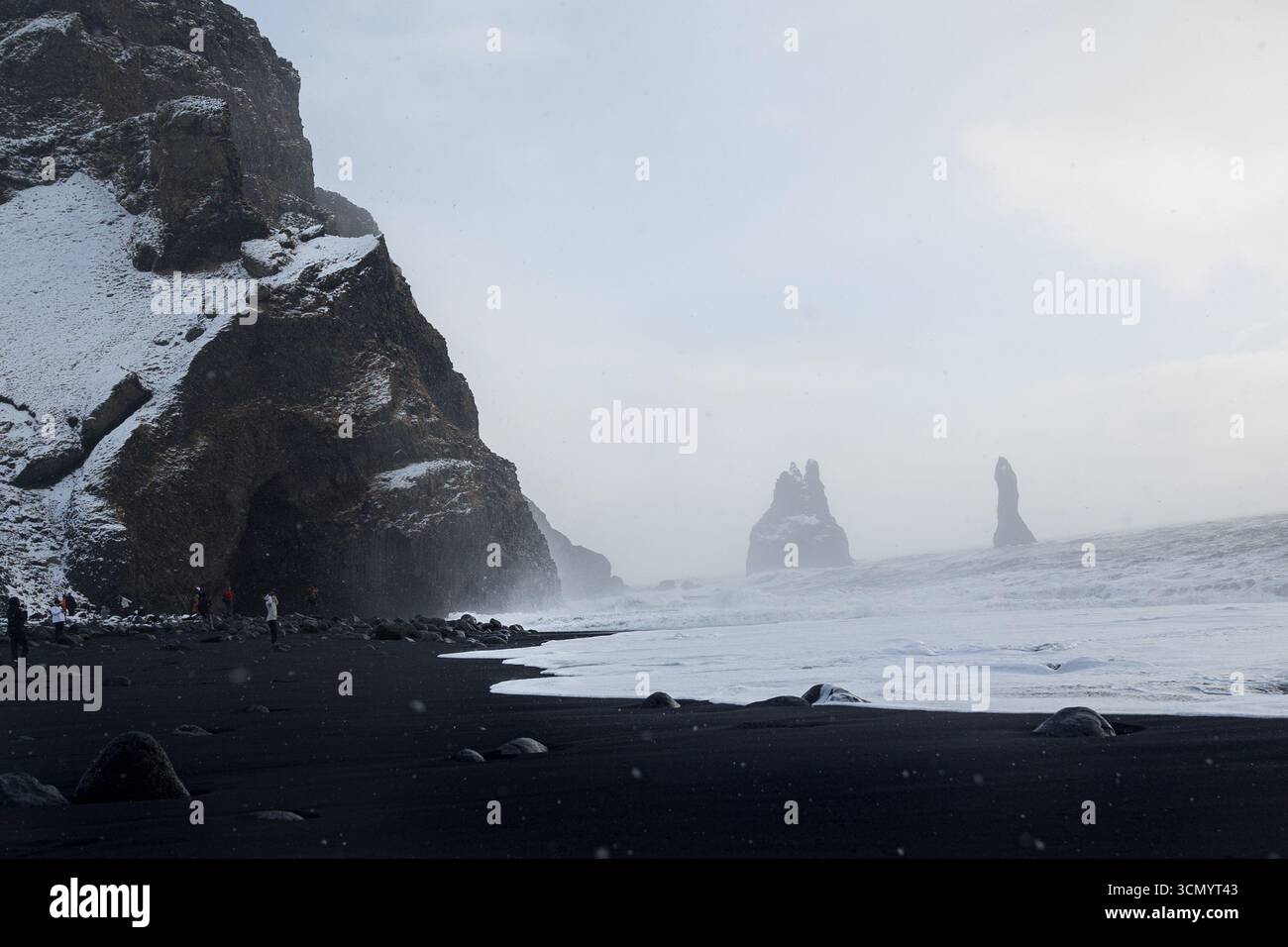 Vue panoramique sur le rivage de sable noir Reynisfjara en Islande Banque D'Images