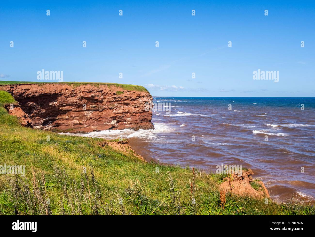 Falaises de grès rouge sur le golfe du Saint-Laurent à cousins Shore sur la côte nord ouest de l'Île-du-Prince-Édouard, Canada, Banque D'Images