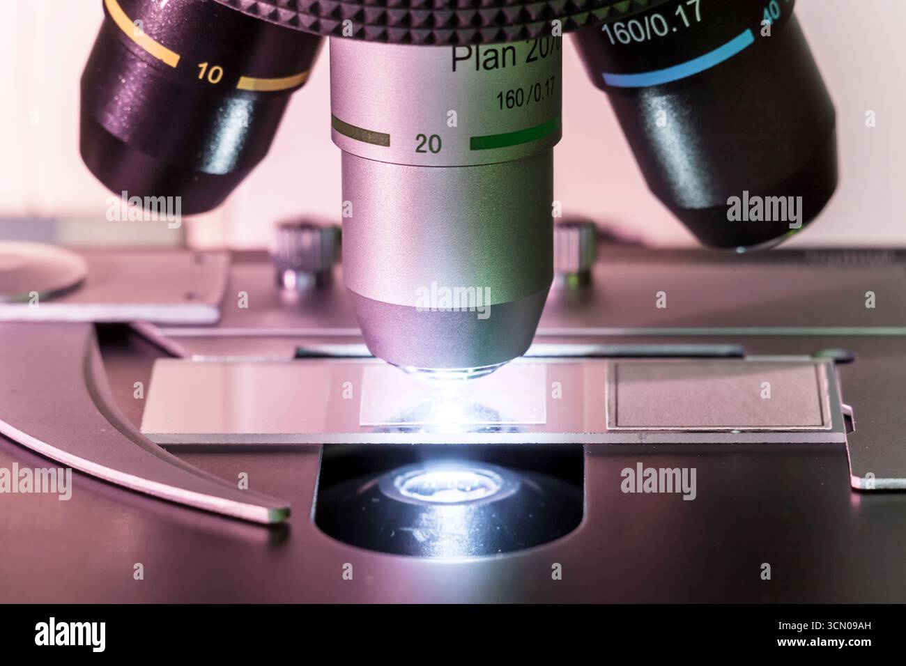 Microscope et lame prêts pour l'observation, objectifs et lames préparées Banque D'Images