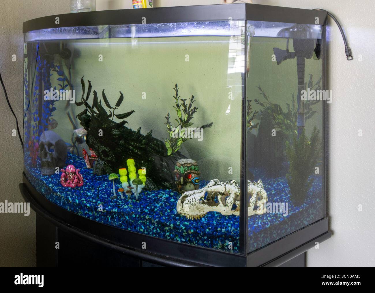 Un aquarium résidentiel offre un divertissement coloré dans le salon d'une maison de banlieue de Great Falls, Montana, 2025, États-Unis Banque D'Images