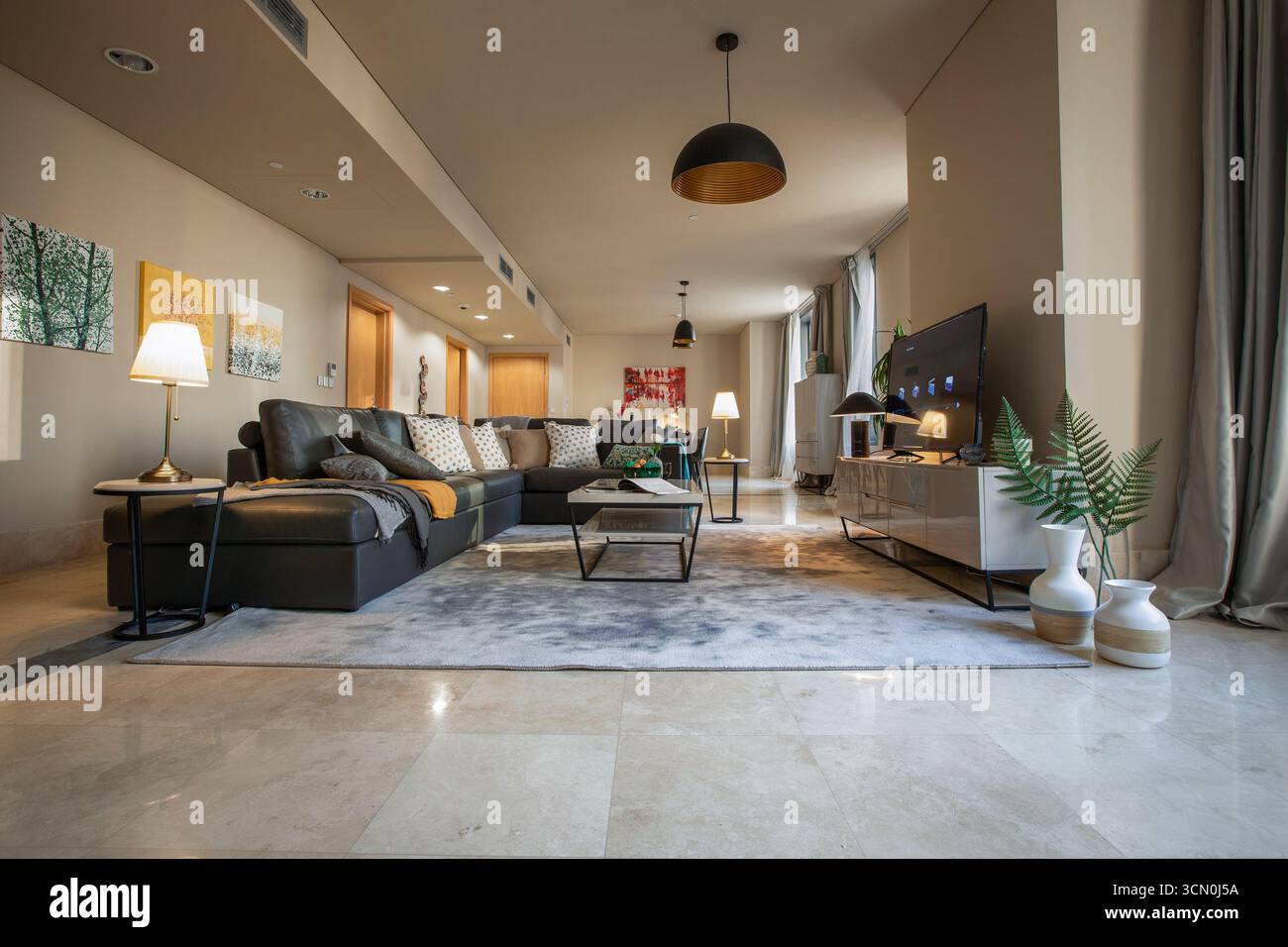 Vue intérieure d'un appartement meublé à Riyad, Arabie Saoudite, montrant le mobilier moderne, la décoration et l'espace de vie confortable. Banque D'Images