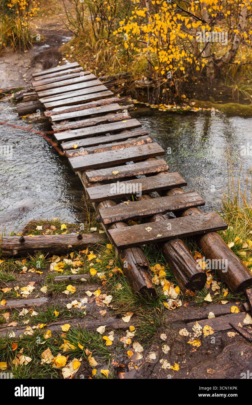 Passerelle rustique en bois à travers un petit ruisseau entouré d'arbres d'automne et de feuilles jaunes tombées Banque D'Images