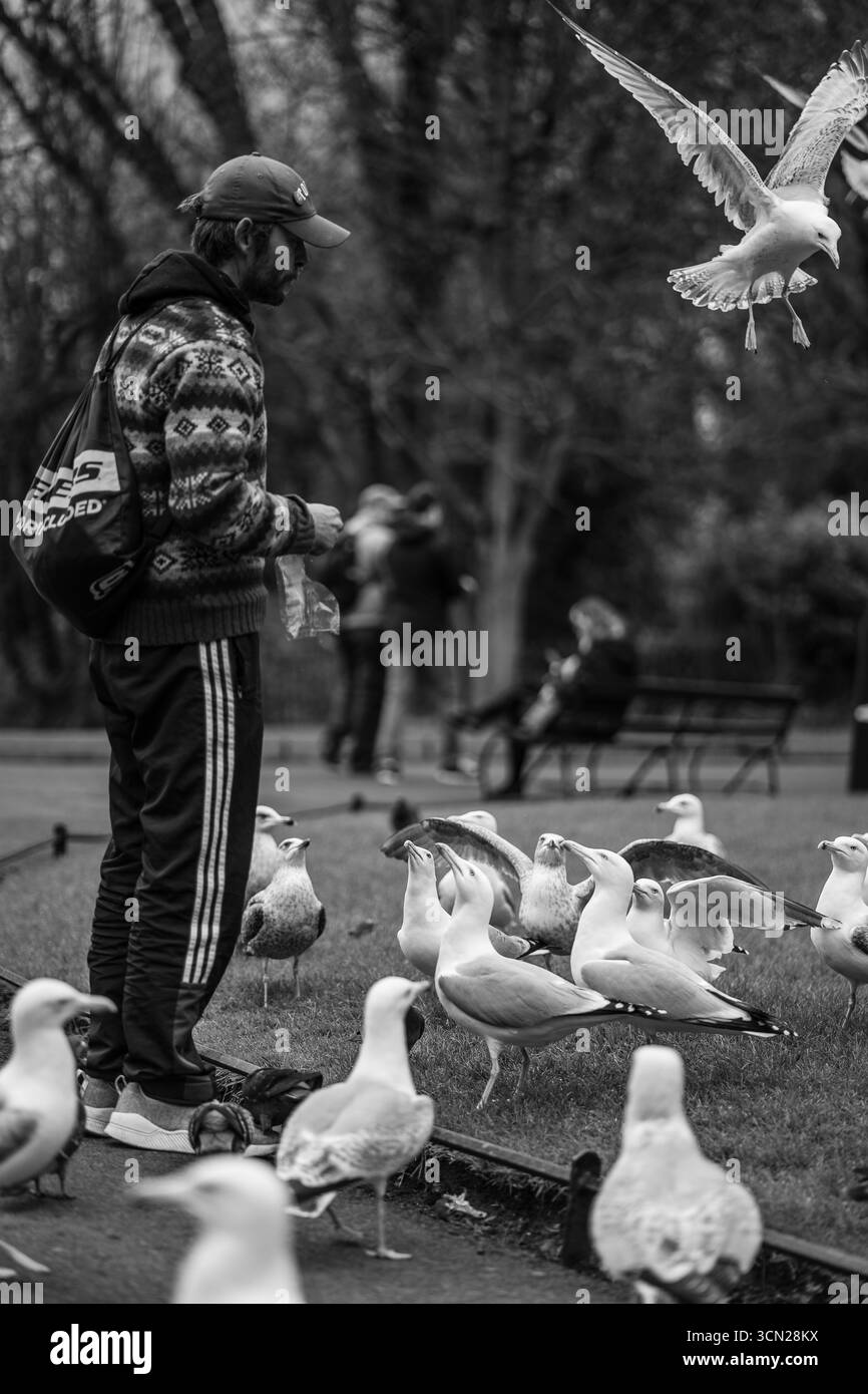 L'Irlande, connue sous le nom d'île d'émeraude, est célèbre pour ses paysages verdoyants, ses côtes accidentées et ses charmants villages. Riche en histoire et culture. Banque D'Images