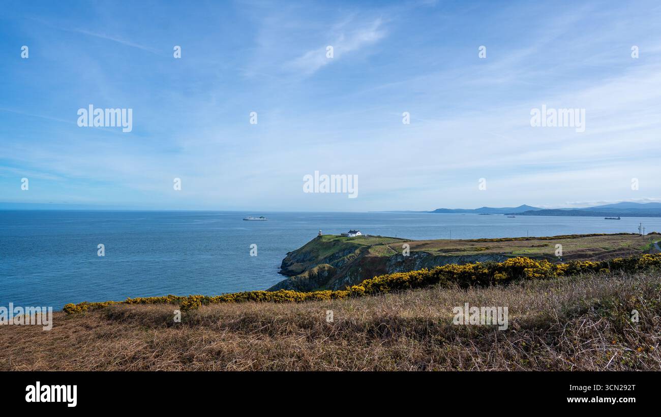 L'Irlande, connue sous le nom d'île d'émeraude, est célèbre pour ses paysages verdoyants, ses côtes accidentées et ses charmants villages. Riche en histoire et culture. Banque D'Images