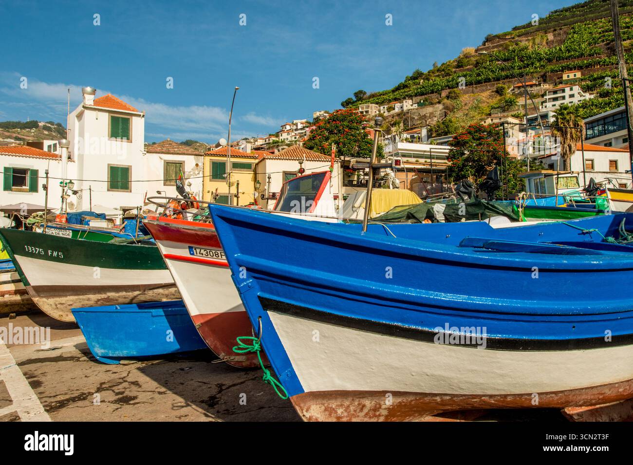 Village de pêcheurs de Camara de Lobos, Maderia, Portugal. Banque D'Images