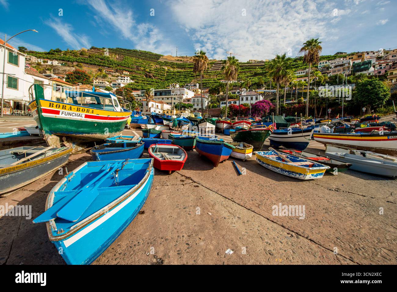 Village de pêcheurs de Camara de Lobos, Maderia, Portugal. Banque D'Images