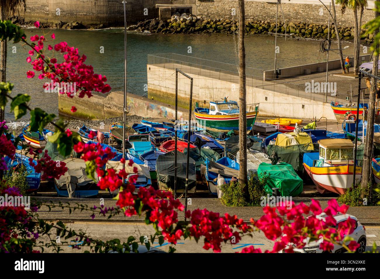 Village de pêcheurs de Camara de Lobos, Maderia, Portugal. Banque D'Images