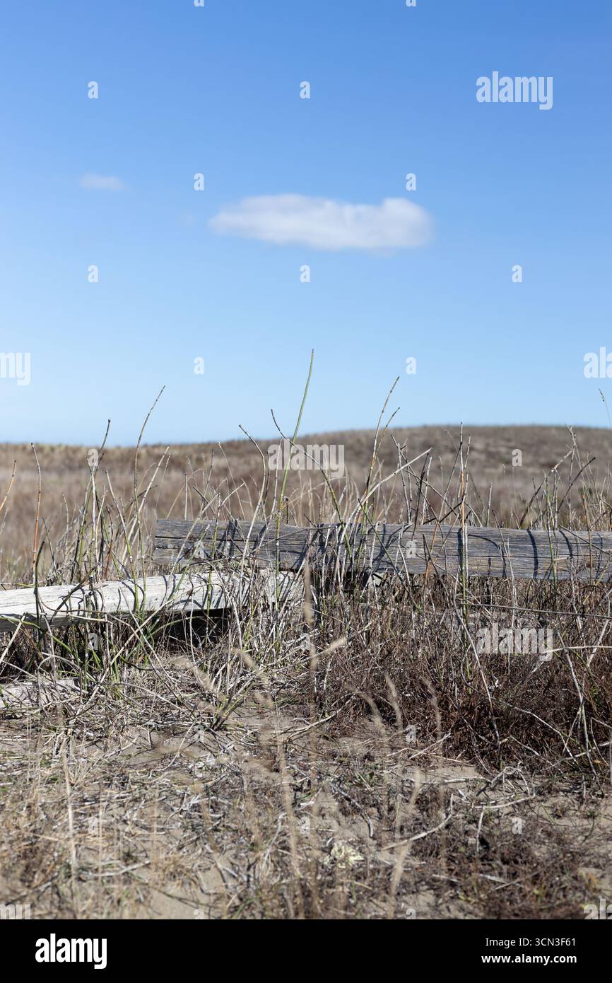 Hautes herbes sèches en automne, à côté de poteaux de clôture horizontaux en bois sous un ciel bleu avec un nuage bouffant blanc. Banque D'Images