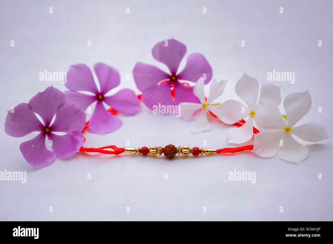 Joyeuse célébration de Raksha Bandhan avec frère et sœur échangeant rakhi, bonbons et cadeaux Banque D'Images Joyeuse célébration de Raksha Bandhan avec frère et sœur échangeant rakhi, bonbons et cadeaux Banque D'Images