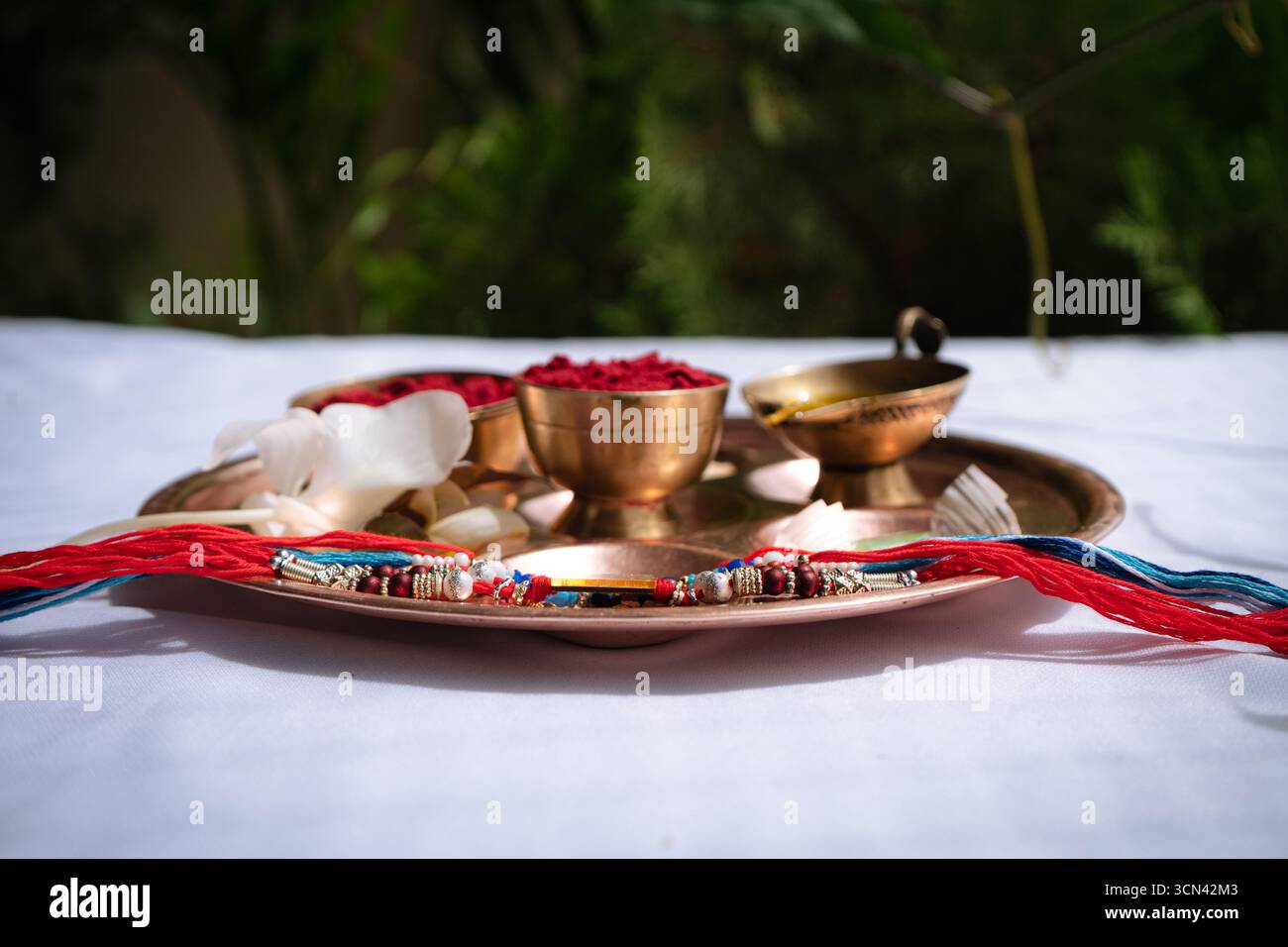 Joyeuse célébration de Raksha Bandhan avec frère et sœur échangeant rakhi, bonbons et cadeaux Banque D'Images Joyeuse célébration de Raksha Bandhan avec frère et sœur échangeant rakhi, bonbons et cadeaux Banque D'Images