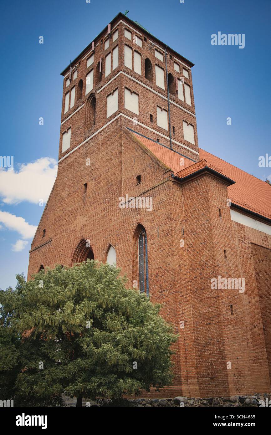 Un grand bâtiment en briques avec un toit rouge et un arbre vert devant lui. Le bâtiment est ancien et a un style gothique Banque D'Images