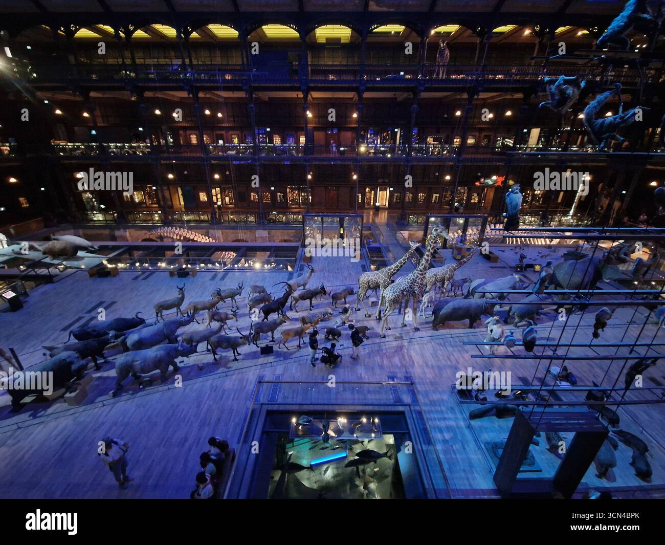 Paris, France - 9 juin 2023 : Grande Galerie de l'Evolution Museum à Paris. Banque D'Images