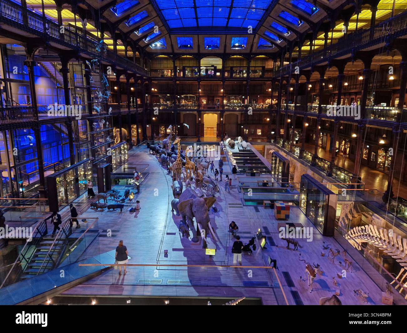 Paris, France - 9 juin 2023 : Grande Galerie de l'Evolution Museum à Paris. Banque D'Images