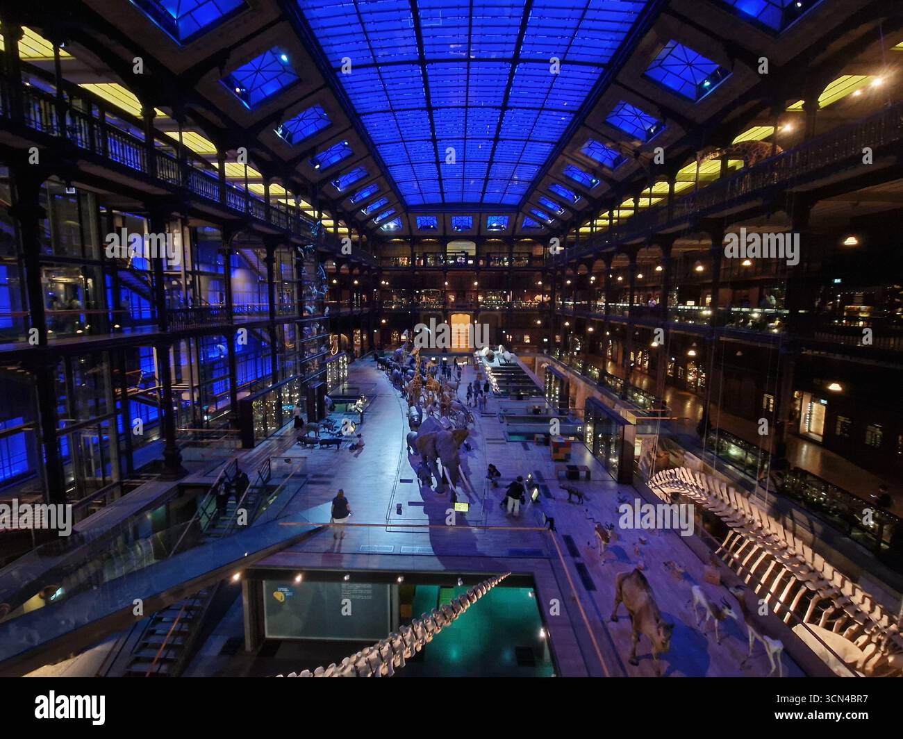 Paris, France - 9 juin 2023 : Grande Galerie de l'Evolution Museum à Paris. Banque D'Images
