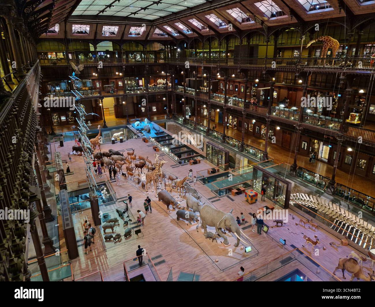 Paris, France - 9 juin 2023 : Grande Galerie de l'Evolution Museum à Paris. Banque D'Images