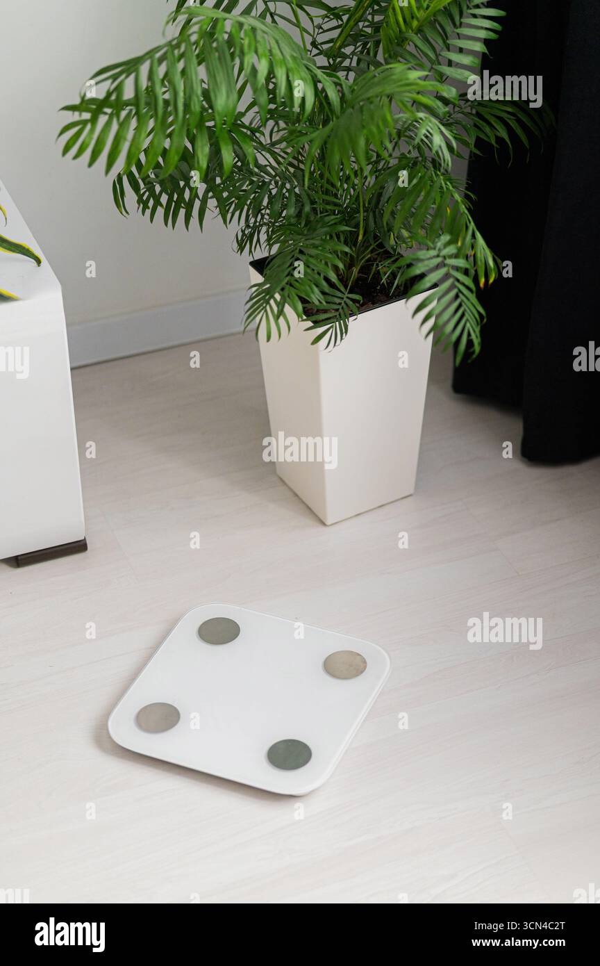 Un pèse-personne moderne dans un cadre contemporain et élégant pour votre décoration intérieure Banque D'Images