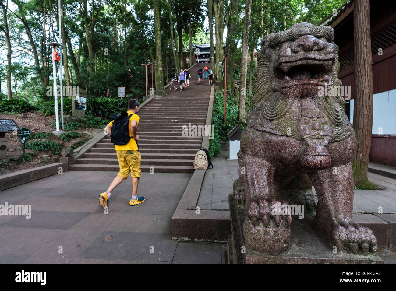 Temple Wannian (« Temple des dix mille ans »), Emeishan, Préfecture de Leshan, Sichuan, République populaire de Chine, Asie Banque D'Images