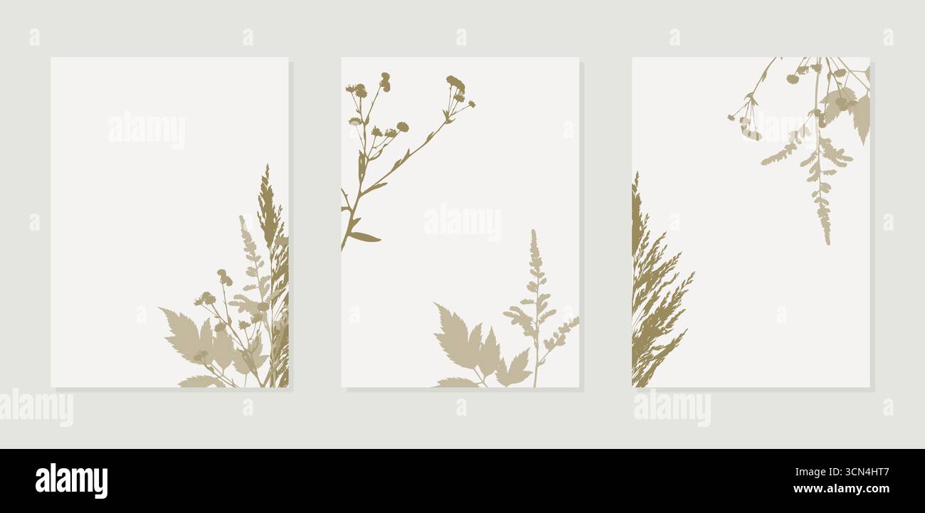 Affiches décor gazon pour le design d'intérieur. Silhouette d'empreinte. Fleurs séchées, graphismes botaniques. Décoration à la maison, mariage. Illustration vectorielle Illustration de Vecteur