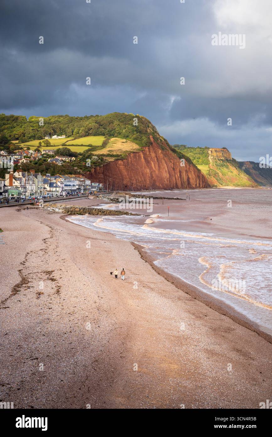 Sidmouth Beach et la falaise de Salcombe Hill, East Devon Banque D'Images