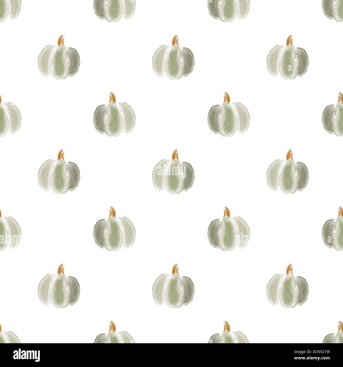Motif sans couture de citrouilles aquarelle verte sur fond blanc. Légumes agricoles dessinés à la main simples pour le tissu, le papier peint, le papier d'emballage et le pr numérique Banque D'Images