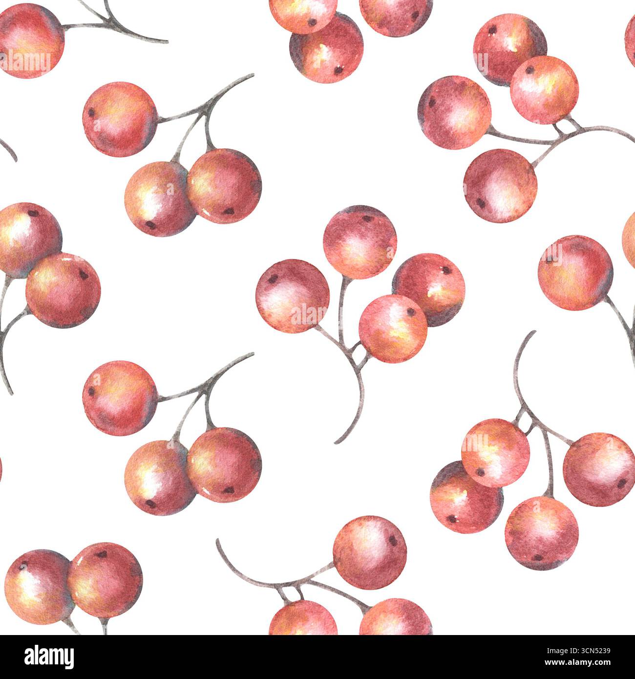 Motif sans couture avec baies rouges. Illustration aquarelle peinte à la main isolée sur blanc pour l'impression sur textile, papier peint, emballage, cartes Banque D'Images