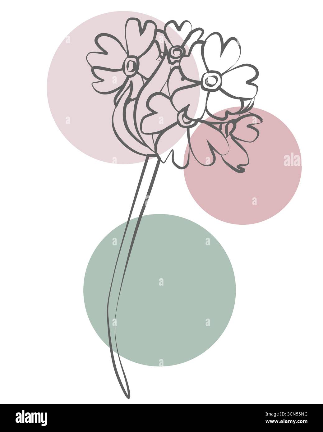 Croquis de fleurs contemporaines avec des cercles abstraits doux et des illustrations graphiques élégantes Banque D'Images