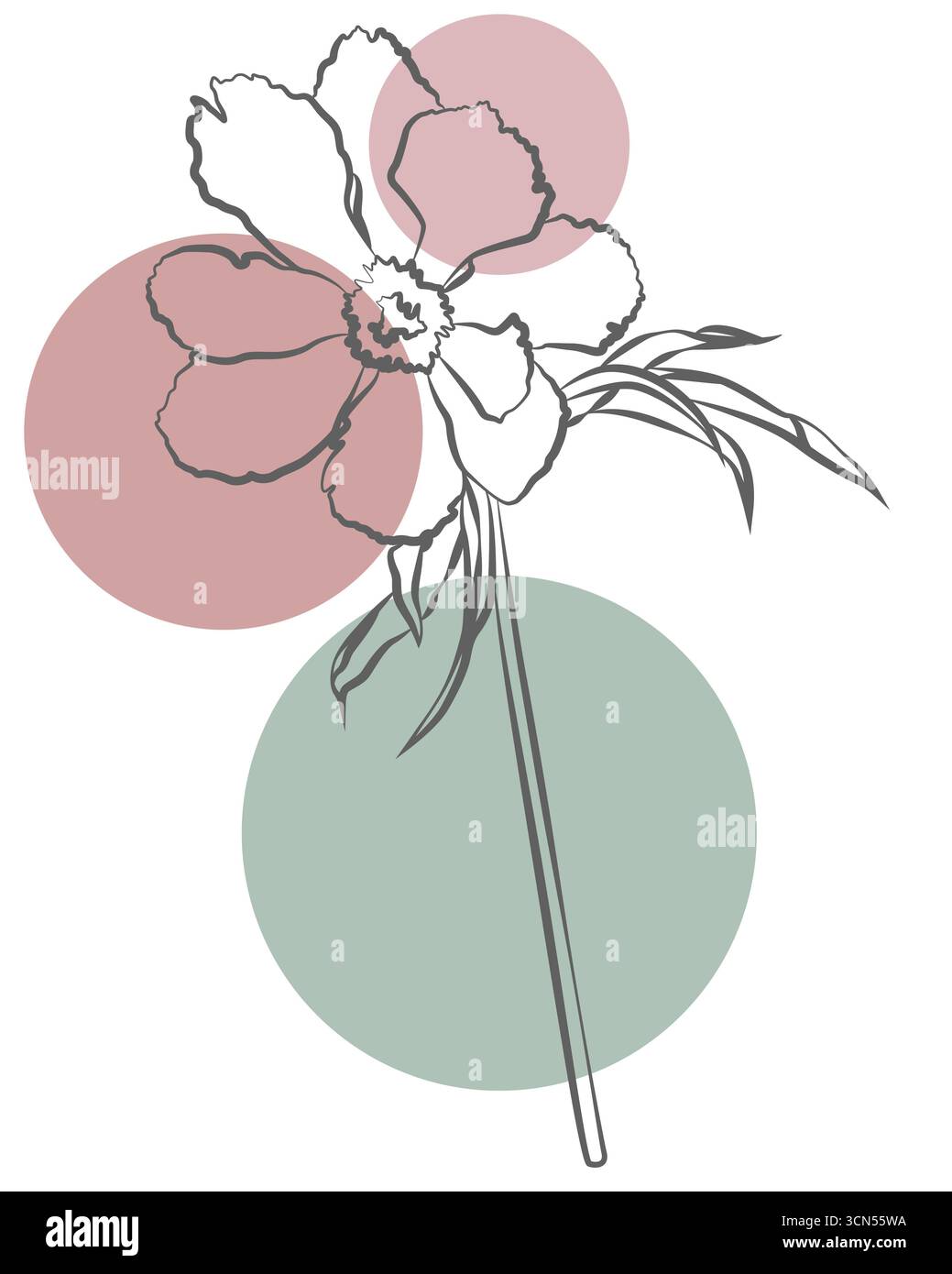 Croquis floral contemporain à géométrie abstraite, décoration murale botanique pastel douce Banque D'Images