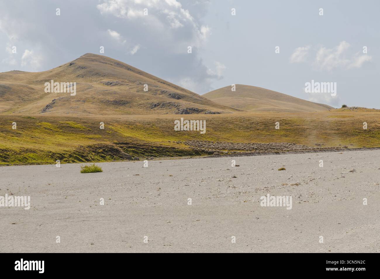 Vue des collines brûlées par le soleil roulant sous un ciel doux, projetant de longues ombres à travers le paysage aride, une plante verte solitaire accrochée à la terre sèche, Isola del Gran Sasso D'italia, Abruzzes, Italie. Banque D'Images