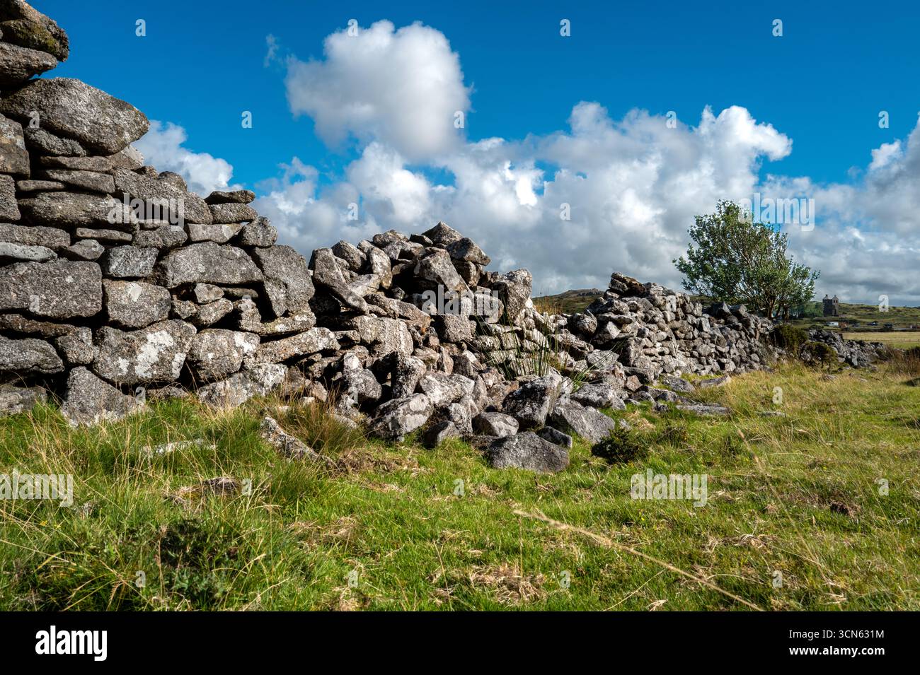 Mur de pierre sèche en granit, Minions Bodmin Moor, Cornwall. Banque D'Images
